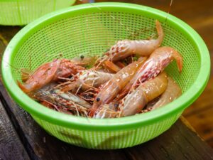 Close-up of fresh raw shrimps in a plastic strainer on a wooden surface.